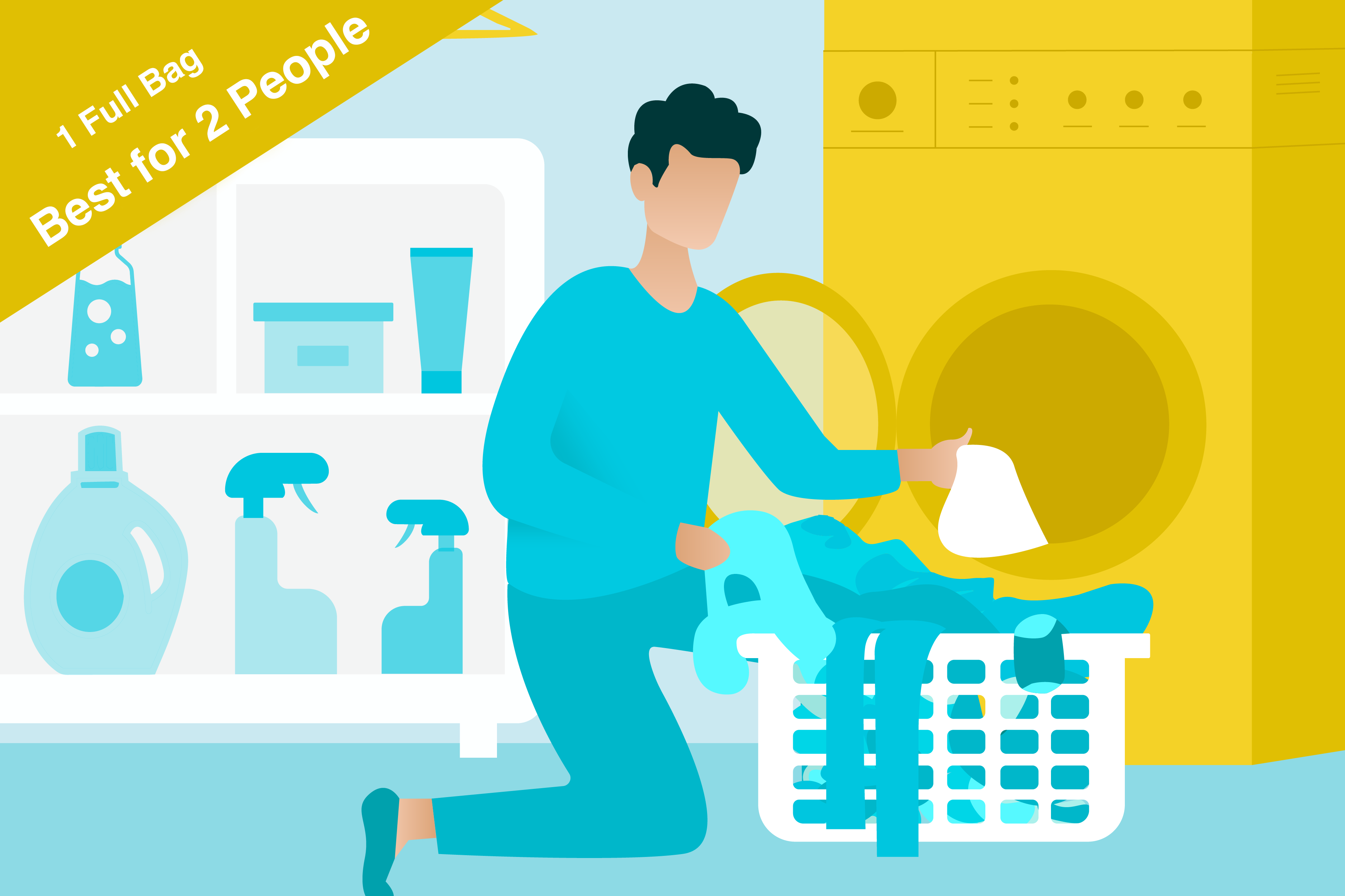 The Washing Process Graphic